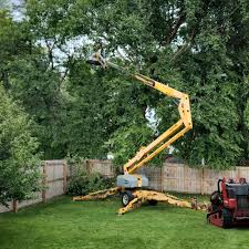 Best Tree Mulching  in Mccrory, AR