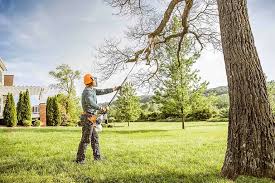 Best Seasonal Cleanup (Spring/Fall)  in Mccrory, AR